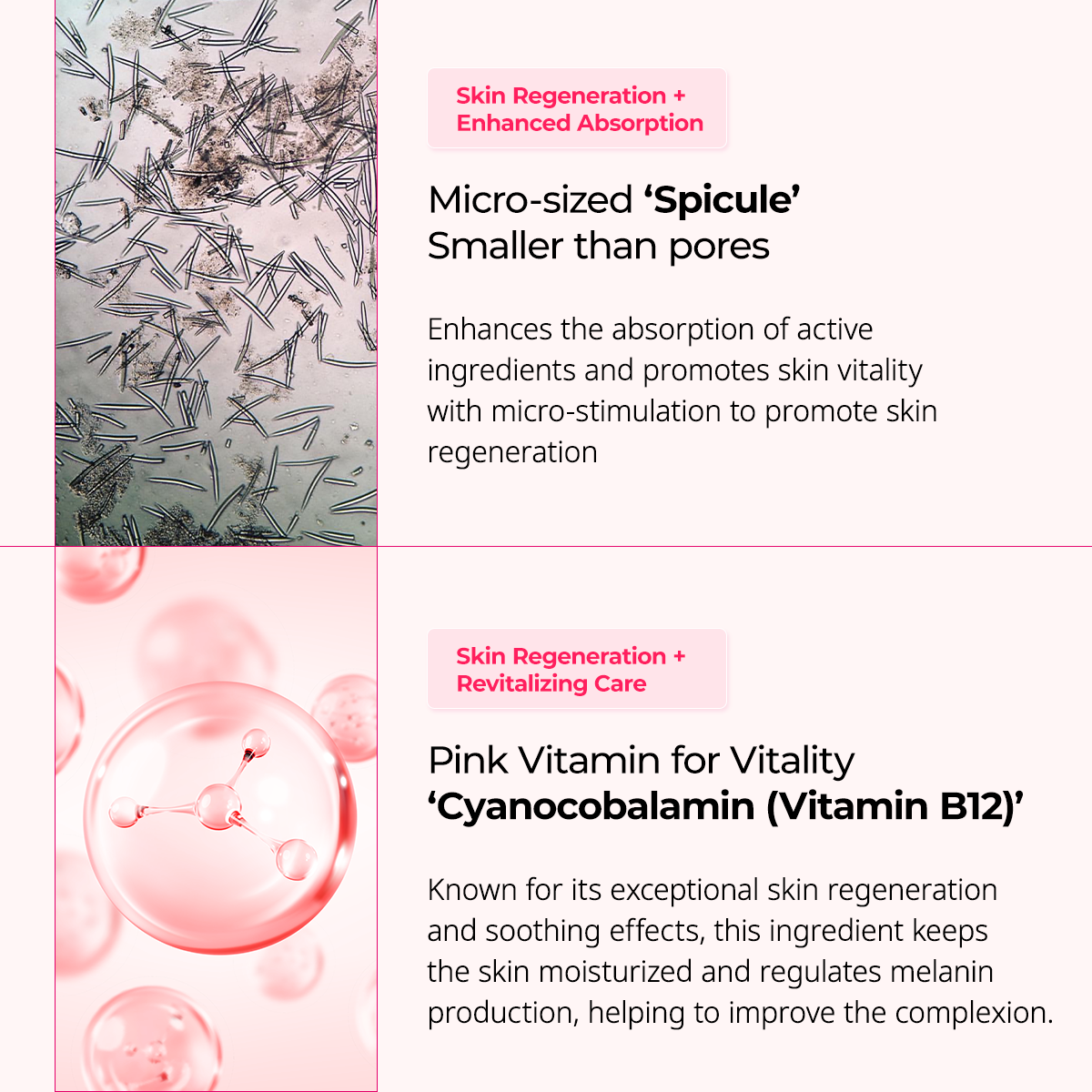 Micro-sized spicules smaller than pores and Pink Vitamin B12